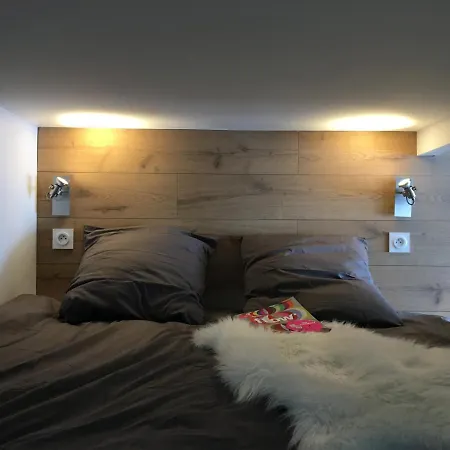 Un Petit Nid Au Pied Des Pistes *