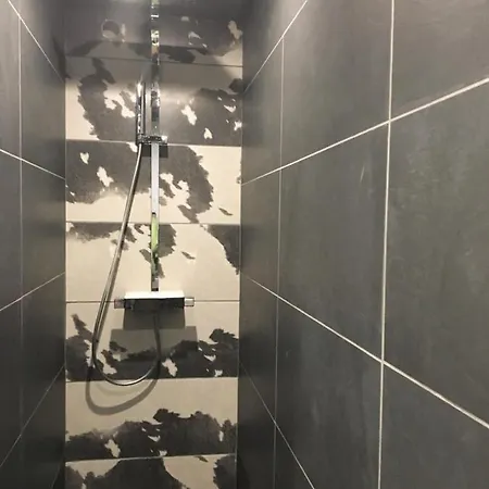 아파트 Un Petit Nid Au Pied Des Pistes 바네르드비고르